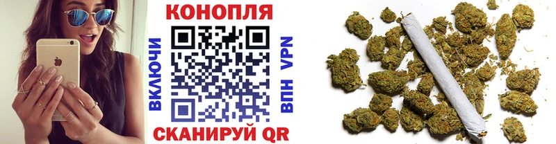 Каннабис OG Kush Казань