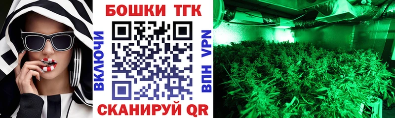 Купить закладки  Казань  Бошки Шишки MAZAR 